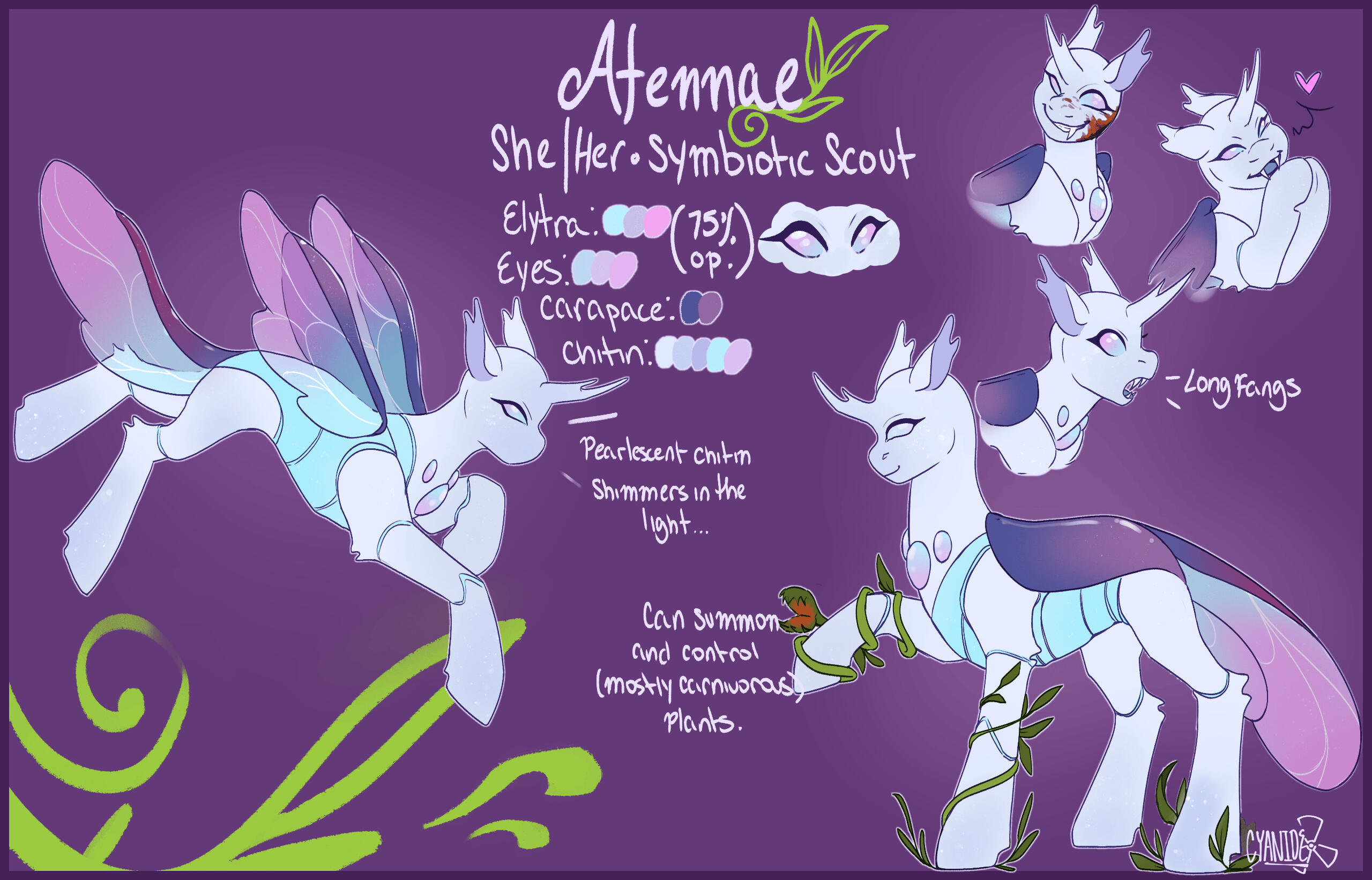 reference sheet